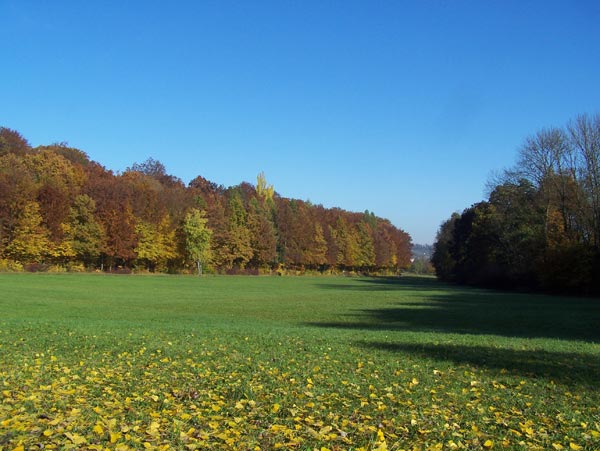 Herbststimmung im Lindental